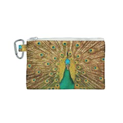 Peacock Feather Bird Peafowl Canvas Cosmetic Bag (small) by Wegoenart