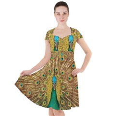 Peacock Feather Bird Peafowl Cap Sleeve Midi Dress by Wegoenart