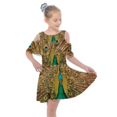 Peacock Feather Bird Peafowl Kids  Shoulder Cutout Chiffon Dress