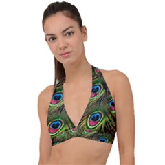 Peacock Feathers Feather Color Halter Plunge Bikini Top