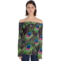 Peacock Feathers Feather Color Off Shoulder Long Sleeve Top