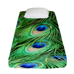 Peacock Feathers Peafowl Fitted Sheet (single Size) by Wegoenart