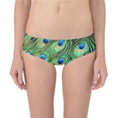 Peacock Feathers Peafowl Classic Bikini Bottoms by Wegoenart