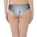 Peacock White Bird Nature Hipster Bikini Bottoms View2