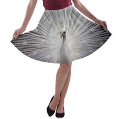 Peacock White Bird Nature A-line Skater Skirt by Wegoenart