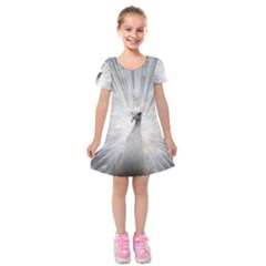 Peacock White Bird Nature Kids  Short Sleeve Velvet Dress by Wegoenart