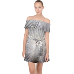 Peacock White Bird Nature Off Shoulder Chiffon Dress