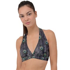 Background Peacock Feathers Halter Plunge Bikini Top