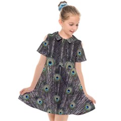 Background Peacock Feathers Kids  Short Sleeve Shirt Dress by Wegoenart