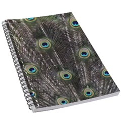 Background Peacock Feathers 5 5  X 8 5  Notebook New