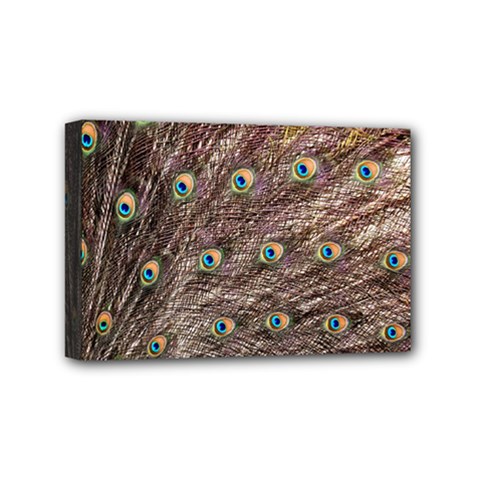 Peacock Feathers Wheel Plumage Mini Canvas 6  X 4  (stretched) by Wegoenart