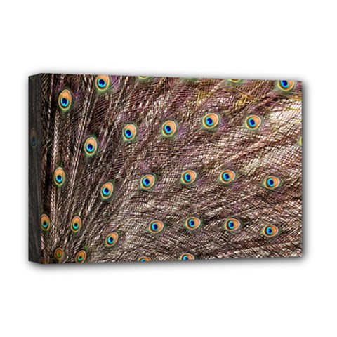 Peacock Feathers Wheel Plumage Deluxe Canvas 18  X 12  (stretched) by Wegoenart