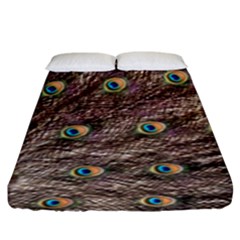 Peacock Feathers Wheel Plumage Fitted Sheet (king Size) by Wegoenart