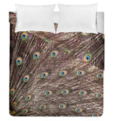 Peacock Feathers Wheel Plumage Duvet Cover Double Side (queen Size) by Wegoenart