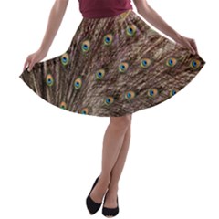 Peacock Feathers Wheel Plumage A-line Skater Skirt by Wegoenart