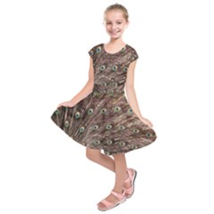 Peacock Feathers Wheel Plumage Kids  Short Sleeve Dress by Wegoenart