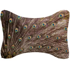 Peacock Feathers Wheel Plumage Seat Head Rest Cushion by Wegoenart