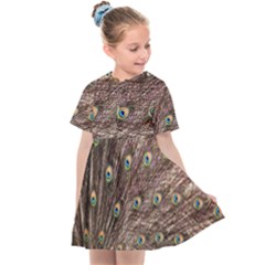 Peacock Feathers Wheel Plumage Kids  Sailor Dress by Wegoenart