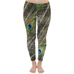 Peacock Feathers Color Plumag Classic Winter Leggings