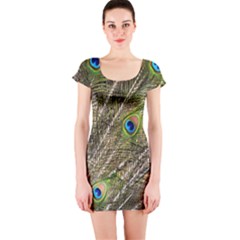 Peacock Feathers Color Plumag Short Sleeve Bodycon Dress by Wegoenart