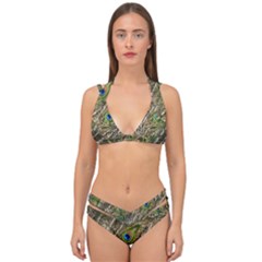 Peacock Feathers Color Plumag Double Strap Halter Bikini Set by Wegoenart