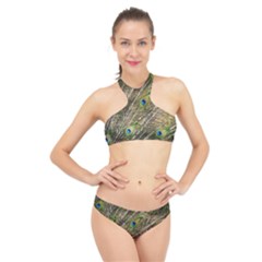 Peacock Feathers Color Plumag High Neck Bikini Set by Wegoenart