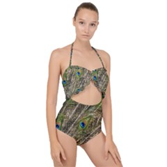 Peacock Feathers Color Plumag Scallop Top Cut Out Swimsuit by Wegoenart