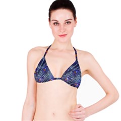 Peacock Feathers Color Plumage Bikini Top by Wegoenart