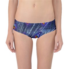 Peacock Feathers Color Plumage Classic Bikini Bottoms