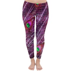 Peacock Feathers Color Plumage Classic Winter Leggings