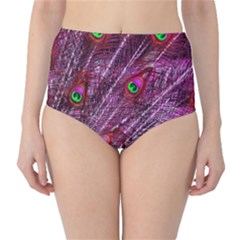 Peacock Feathers Color Plumage Classic High-waist Bikini Bottoms