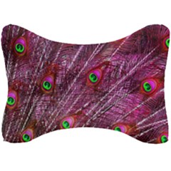 Peacock Feathers Color Plumage Seat Head Rest Cushion