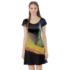 Cosmicchristmastree Short Sleeve Skater Dress by chellerayartisans