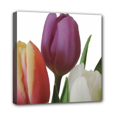 Tulips Bouquet Mini Canvas 8  X 8  (stretched) by picsaspassion