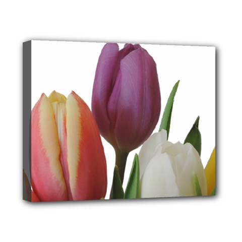 Tulips Bouquet Canvas 10  X 8  (stretched) by picsaspassion