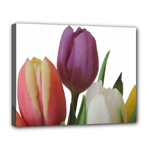 Tulips Bouquet Canvas 14  X 11  (stretched) by picsaspassion