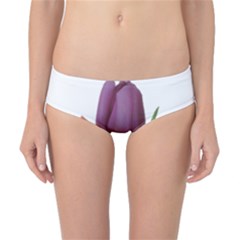 Tulips Bouquet Classic Bikini Bottoms by picsaspassion