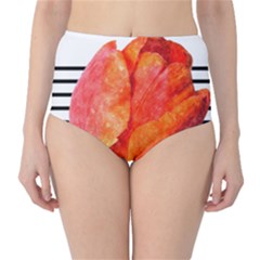 Red Tulip And Black Stripes Classic High-waist Bikini Bottoms by picsaspassion