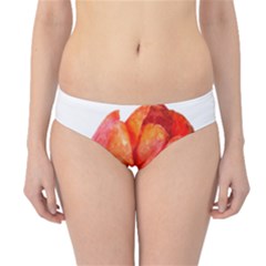 Red Tulip And Black Stripes Hipster Bikini Bottoms