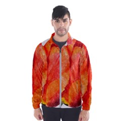 Red Tulip And Black Stripes Windbreaker (men) by picsaspassion