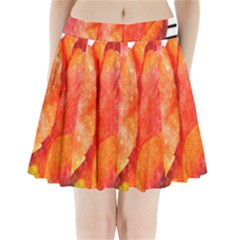 Red Tulip And Black Stripes Pleated Mini Skirt by picsaspassion