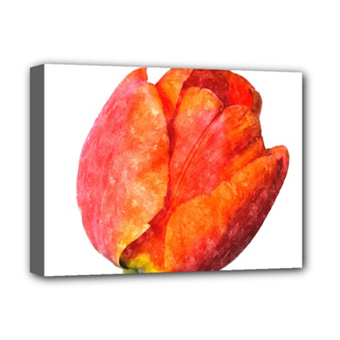 Red Tulip, Watercolor Art Deluxe Canvas 16  X 12  (stretched)  by picsaspassion