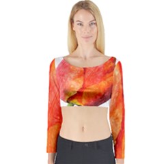 Red Tulip, Watercolor Art Long Sleeve Crop Top by picsaspassion