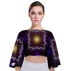 Fractal Rays Geometry Space Glow Tie Back Butterfly Sleeve Chiffon Top by Wegoenart