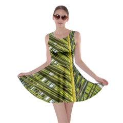 Palm Fronds Palm Palm Leaf Plant Skater Dress by Wegoenart