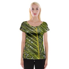 Palm Fronds Palm Palm Leaf Plant Cap Sleeve Top by Wegoenart