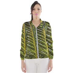 Palm Fronds Palm Palm Leaf Plant Windbreaker (women) by Wegoenart