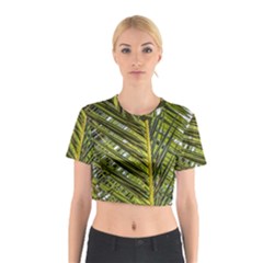 Palm Fronds Palm Palm Leaf Plant Cotton Crop Top by Wegoenart