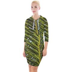 Palm Fronds Palm Palm Leaf Plant Quarter Sleeve Hood Bodycon Dress