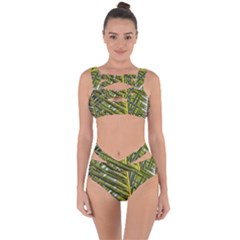 Palm Fronds Palm Palm Leaf Plant Bandaged Up Bikini Set  by Wegoenart